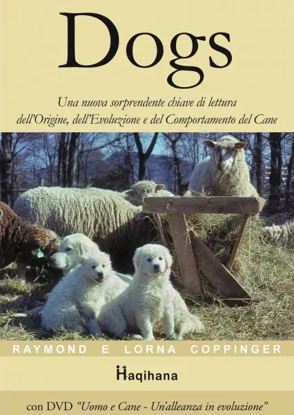 WhatsApp Image 2017 11 23 at 10.25.53