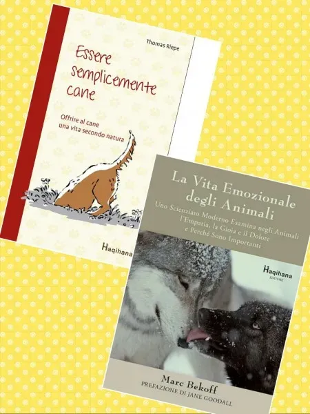 WhatsApp Image 2017 11 23 at 10.25.57