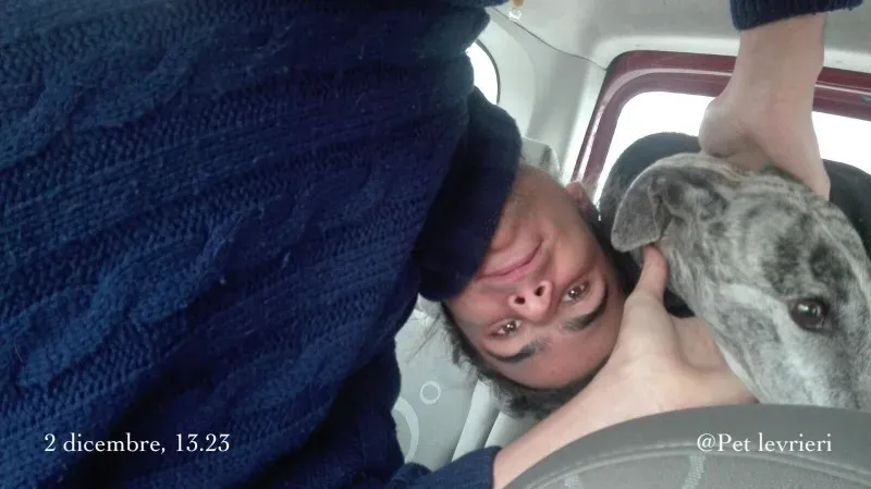 WhatsApp Image 2017 12 02 at 13.28.09