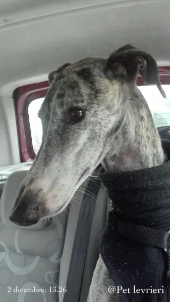 WhatsApp Image 2017 12 02 at 13.37.37