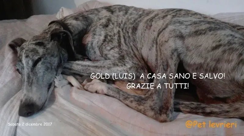 WhatsApp Image 2017 12 02 at 15.21.24