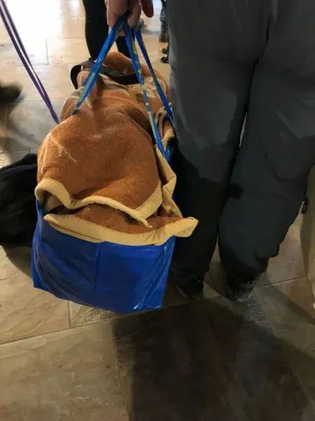 WhatsApp Image 2017 12 17 at 19.33.06