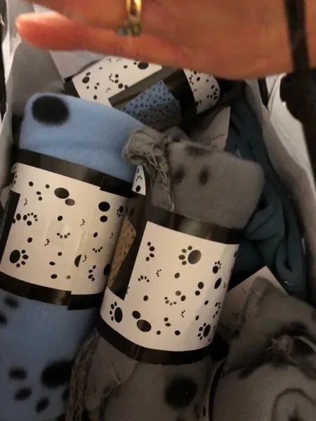 WhatsApp Image 2017 12 17 at 19.37.32