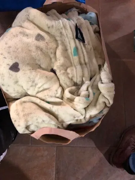 WhatsApp Image 2017 12 17 at 19.38.43 1