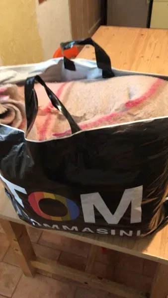 WhatsApp Image 2017 12 19 at 12.21.18