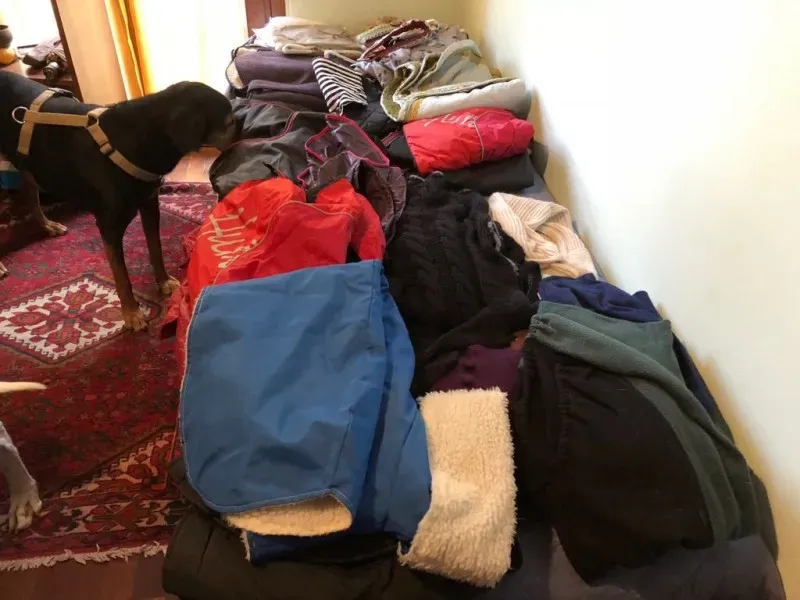 WhatsApp Image 2017 12 21 at 10.42.19