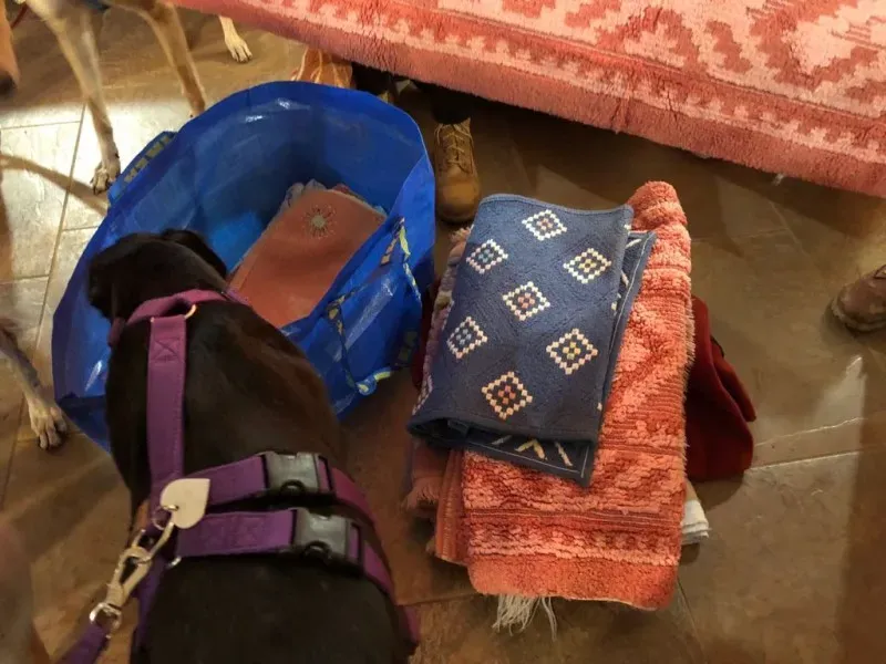 WhatsApp Image 2018 01 01 at 14.19.521