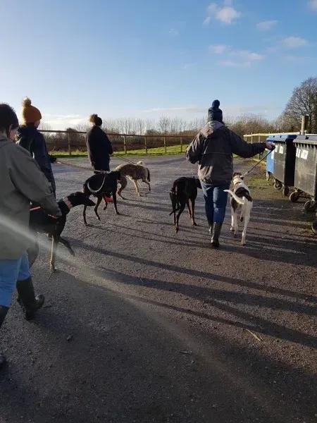 WhatsApp Image 2018 01 02 at 18.54.11