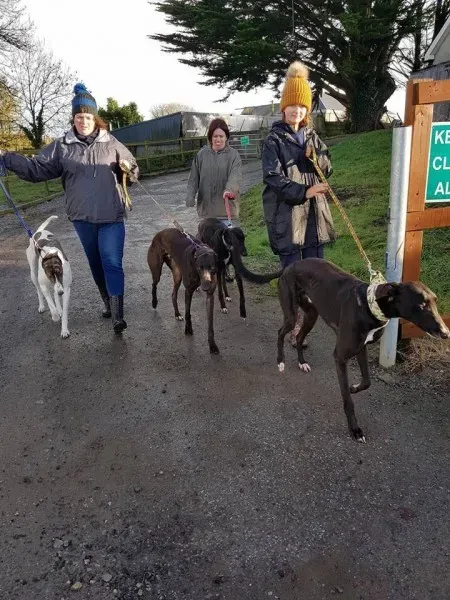 WhatsApp Image 2018 01 02 at 18.54.111