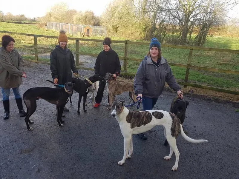 WhatsApp Image 2018 01 02 at 18.54.112