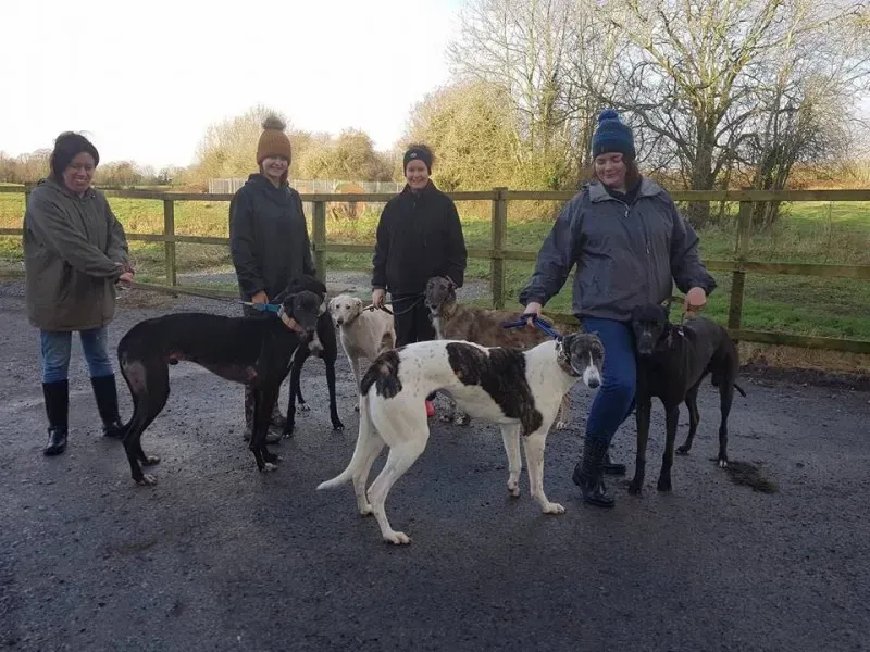 WhatsApp Image 2018 01 02 at 18.54.113