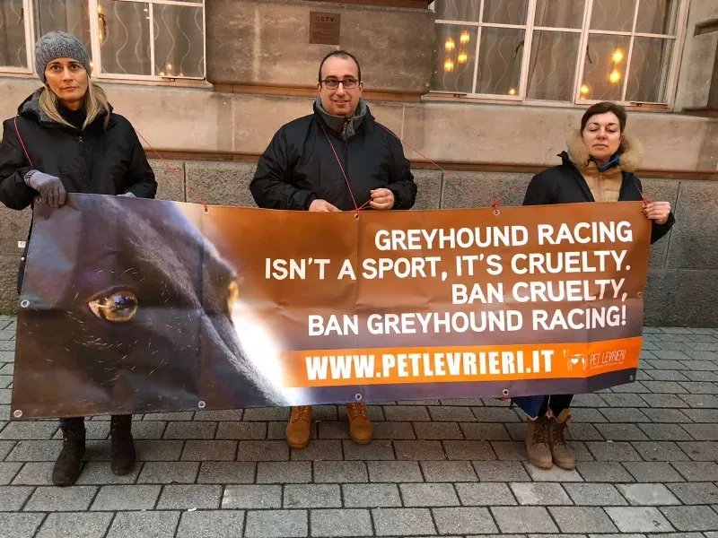 WhatsApp Image 2018 01 28 at 17.42.07