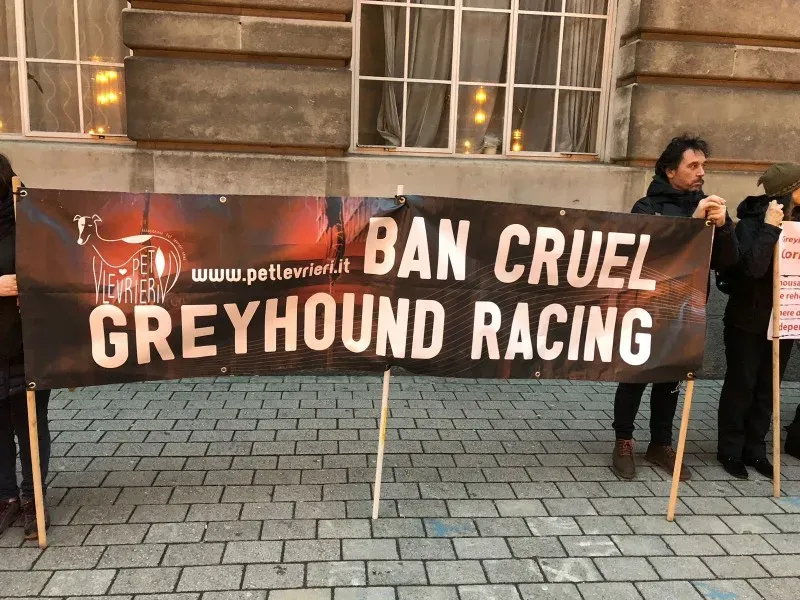 WhatsApp Image 2018 01 28 at 17.42.071