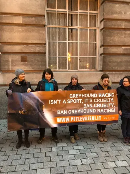 WhatsApp Image 2018 01 28 at 17.42.09