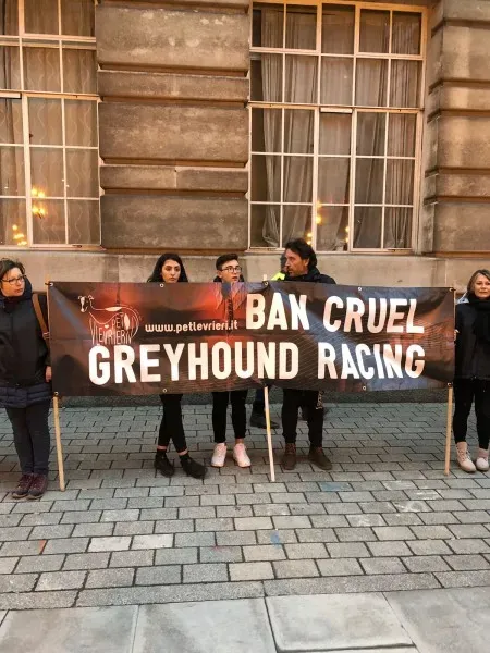 WhatsApp Image 2018 01 28 at 17.42.11