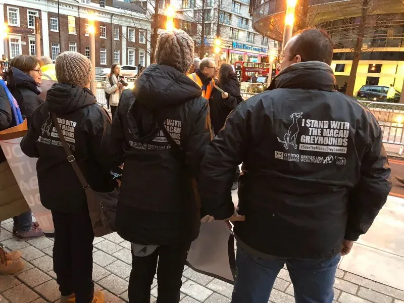 WhatsApp Image 2018 01 28 at 17.45.43