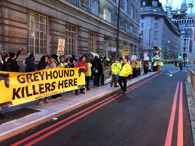 WhatsApp Image 2018 01 28 at 17.53.04