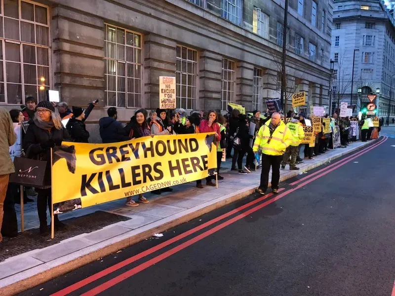 WhatsApp Image 2018 01 28 at 17.53.05