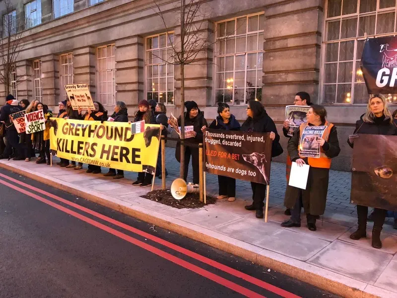 WhatsApp Image 2018 01 28 at 17.53.06