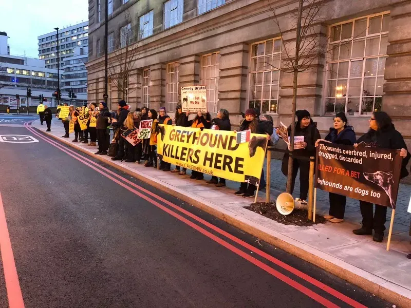 WhatsApp Image 2018 01 28 at 17.53.061