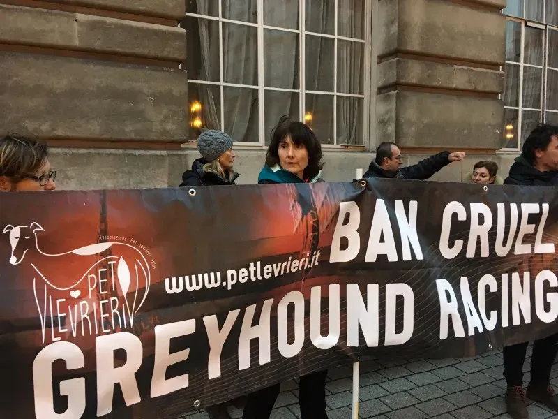 WhatsApp Image 2018 01 29 at 18.23.16