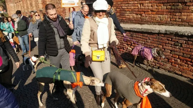 WhatsApp Image 2018 02 05 at 10.39.401