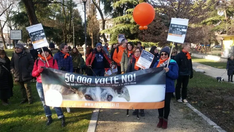 WhatsApp Image 2018 02 05 at 10.39.402