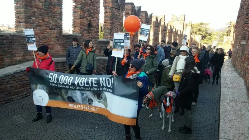 WhatsApp Image 2018 02 05 at 10.39.41