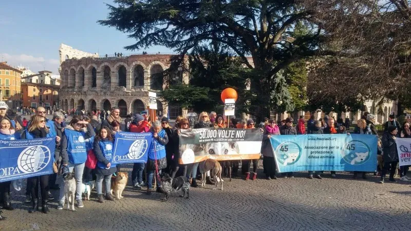 WhatsApp Image 2018 02 05 at 10.39.411