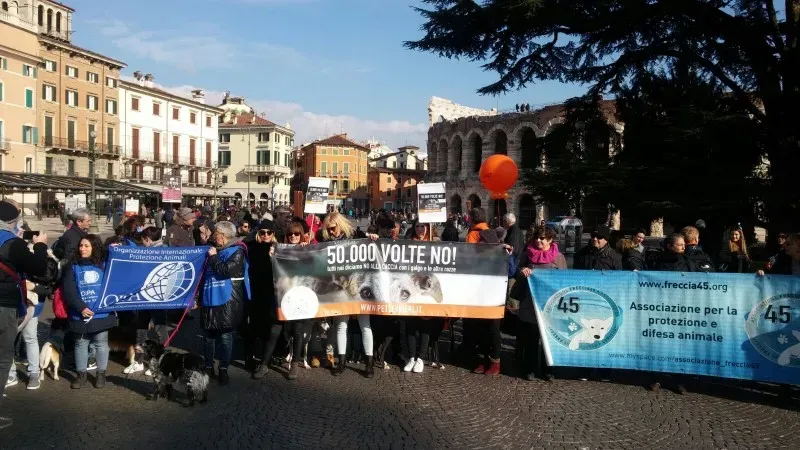 WhatsApp Image 2018 02 05 at 10.39.42