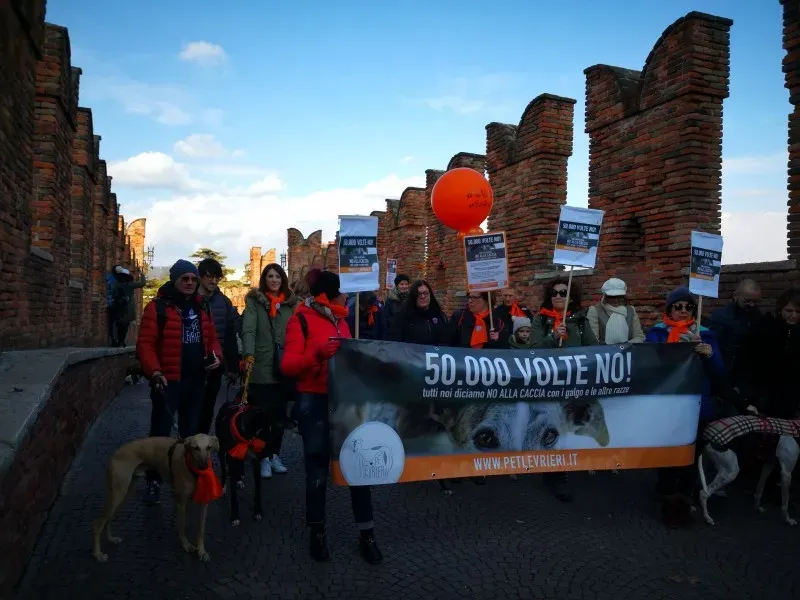 WhatsApp Image 2018 02 05 at 10.44.11