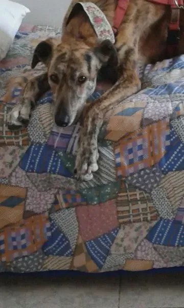 WhatsApp Image 2018 02 18 at 13.30.09