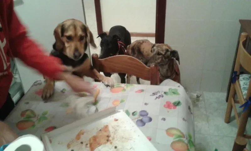 WhatsApp Image 2018 02 18 at 13.30.13