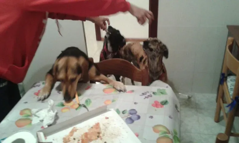 WhatsApp Image 2018 02 18 at 13.30.17