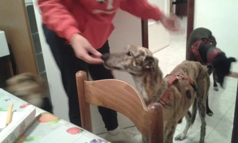 WhatsApp Image 2018 02 18 at 13.30.19