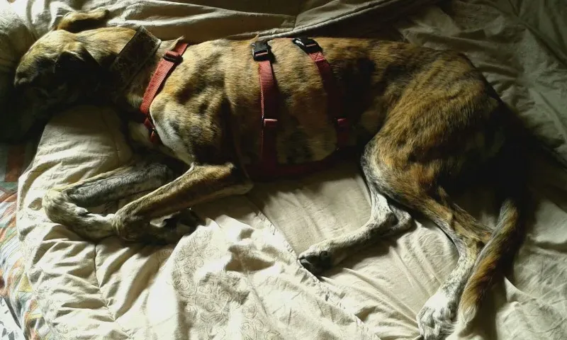 WhatsApp Image 2018 02 18 at 13.30.21