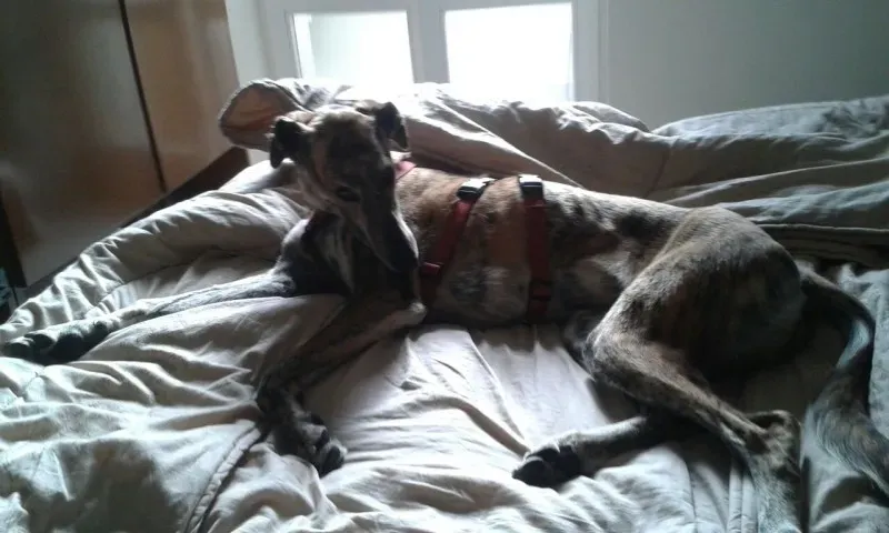 WhatsApp Image 2018 02 18 at 13.30.23