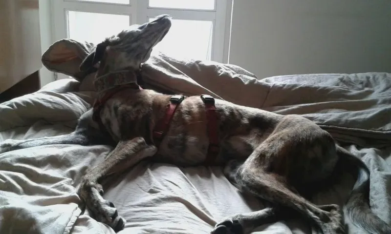 WhatsApp Image 2018 02 18 at 13.30.24