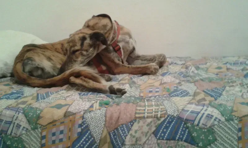 WhatsApp Image 2018 02 18 at 13.30.25