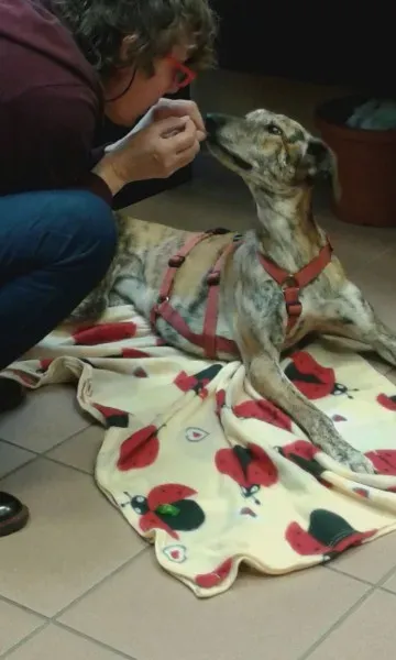 WhatsApp Image 2018 02 19 at 13.51.03