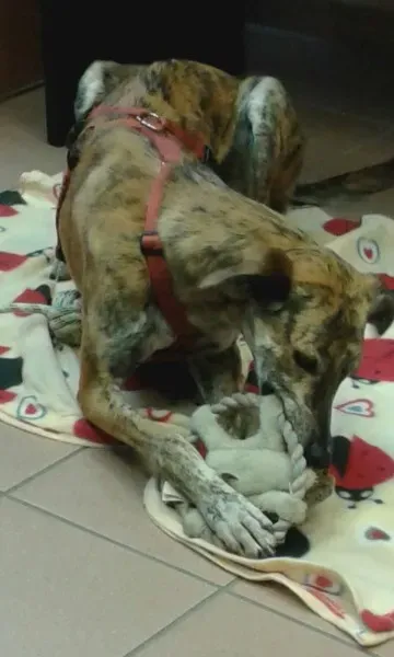 WhatsApp Image 2018 02 19 at 13.51.05