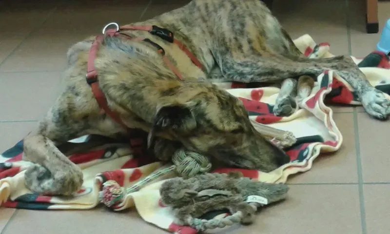 WhatsApp Image 2018 02 19 at 13.51.06