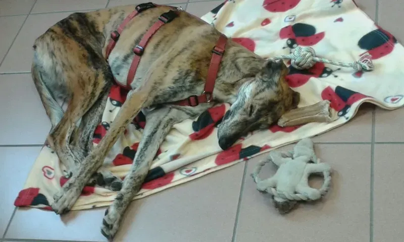 WhatsApp Image 2018 02 19 at 13.51.07