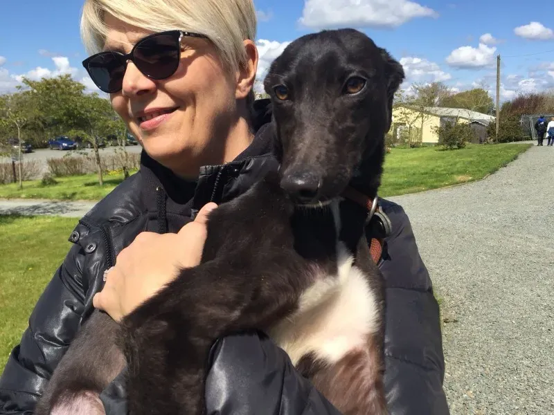 WhatsApp Image 2018 04 30 at 13.45.471