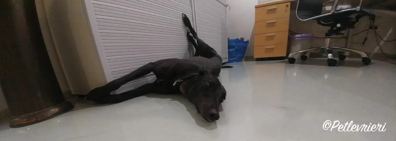 WhatsApp Image 2018 09 13 at 08.34.02