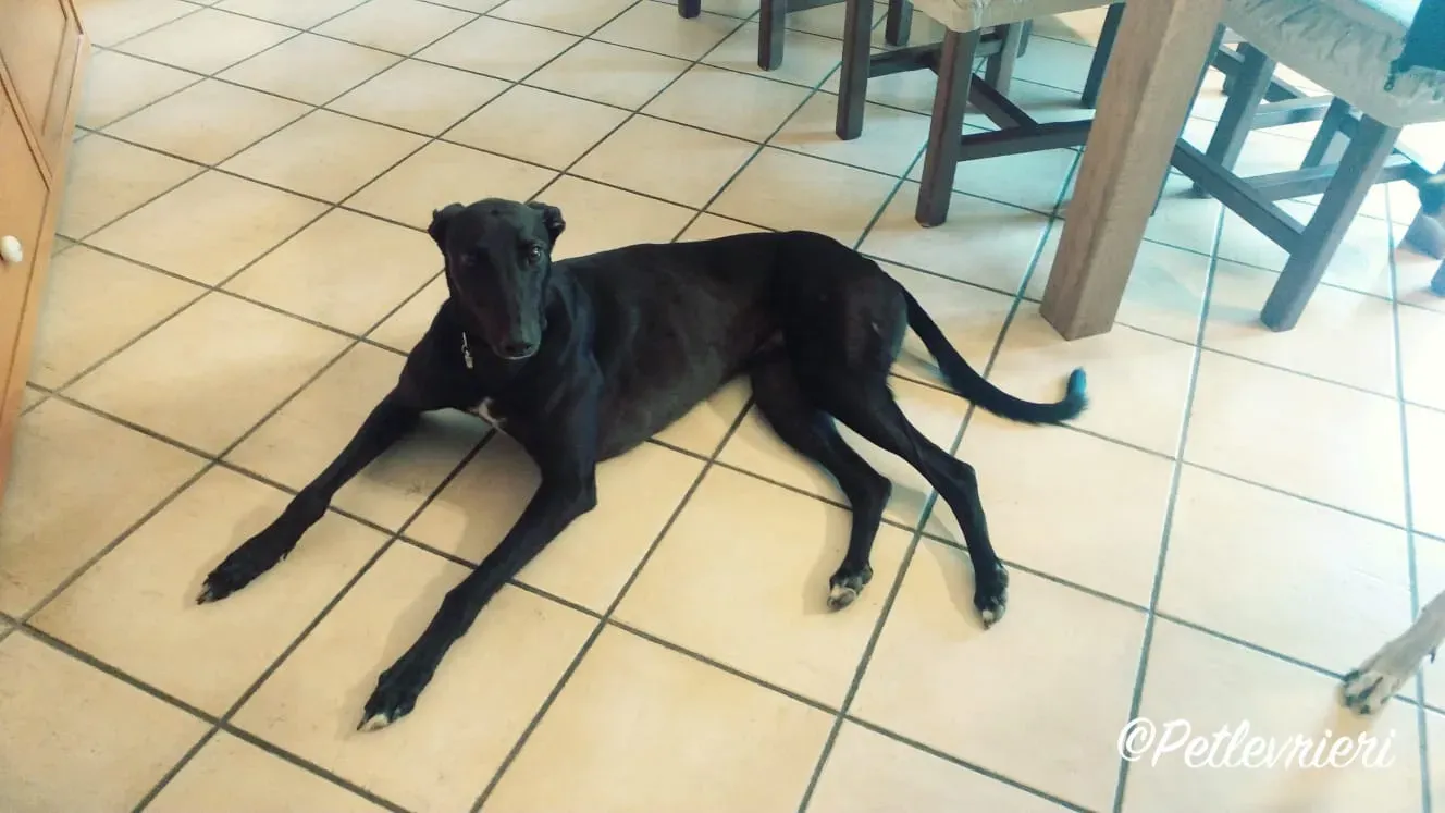 WhatsApp Image 2018 09 13 at 09.00.25