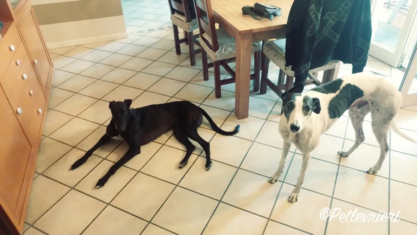 WhatsApp Image 2018 09 13 at 09.00.39