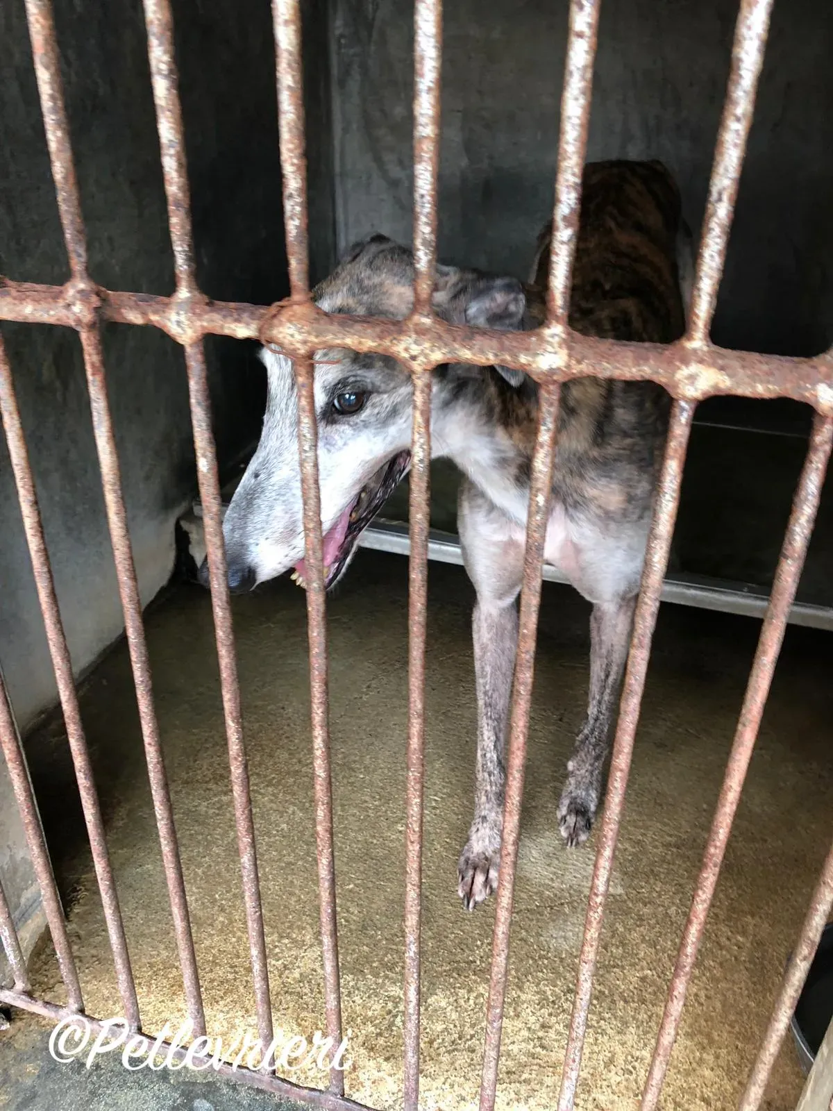 WhatsApp Image 2018 09 14 at 16.00.27