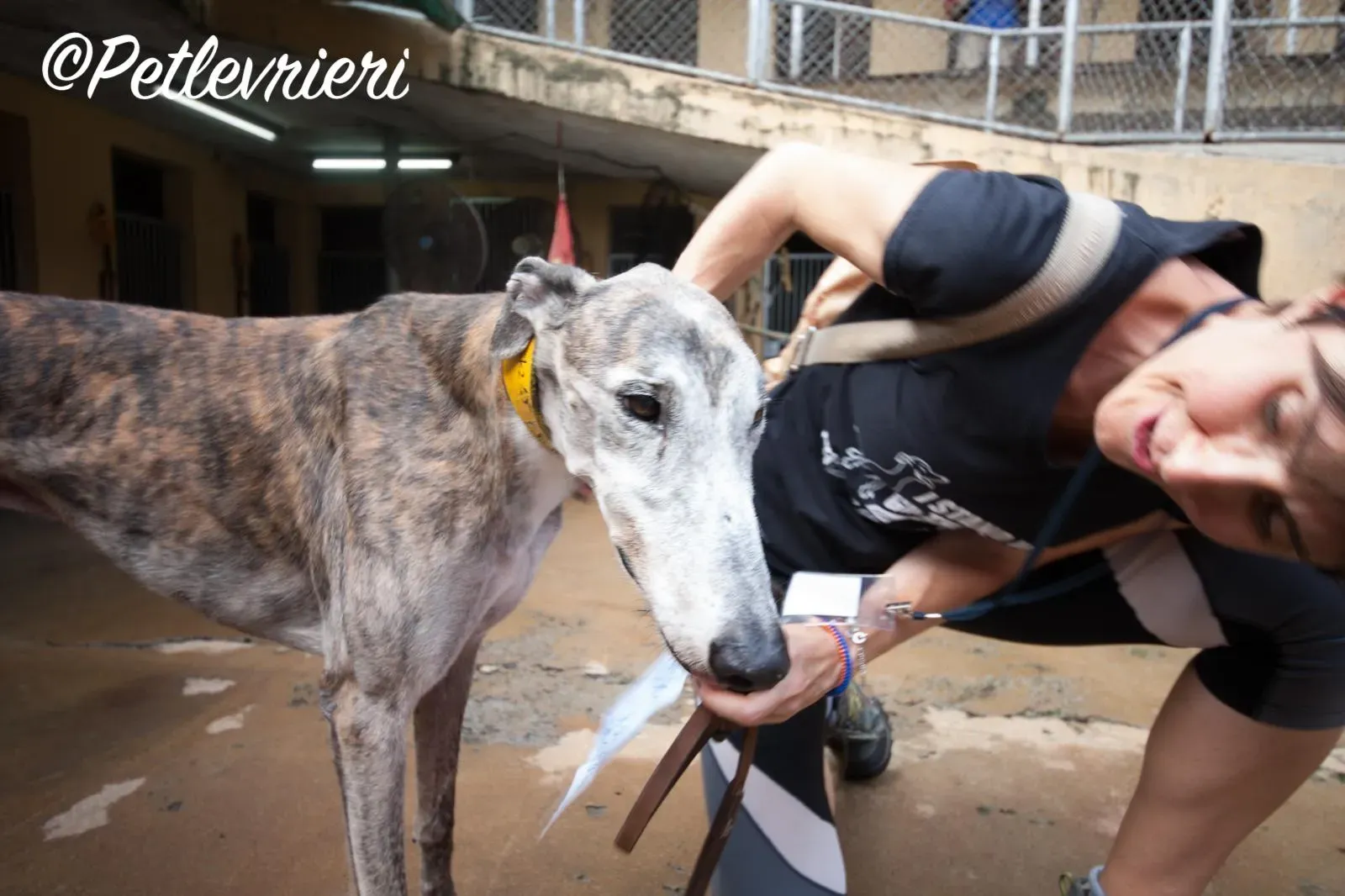 WhatsApp Image 2018 09 15 at 02.00.14