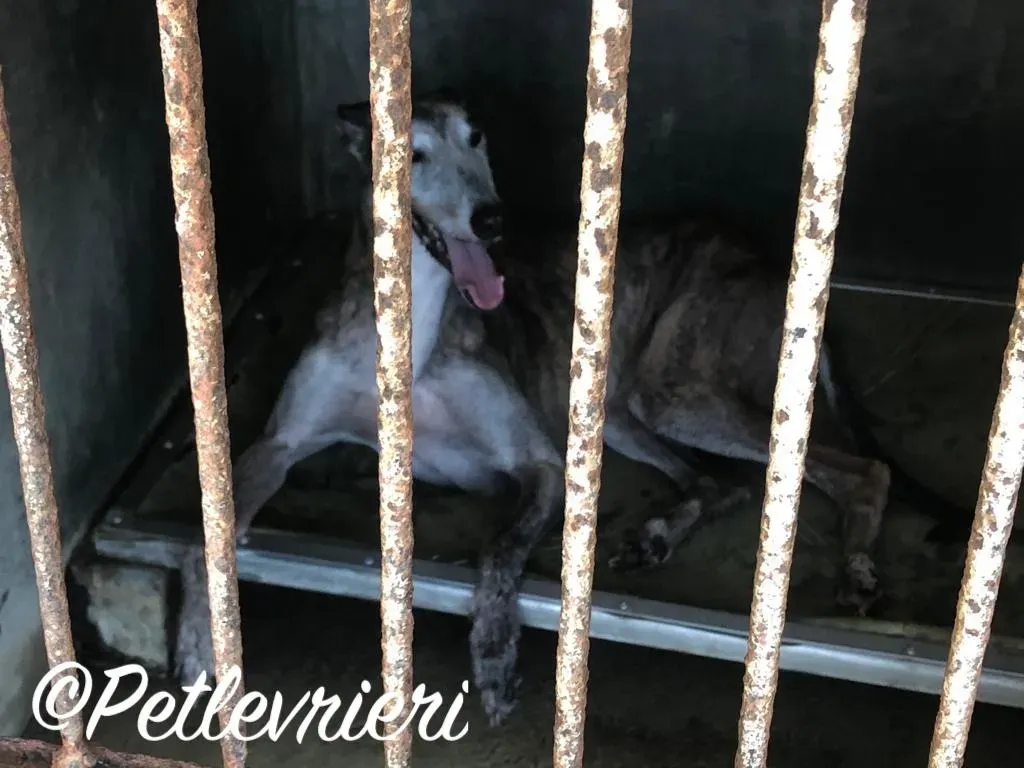 WhatsApp Image 2018 09 15 at 08.20.00